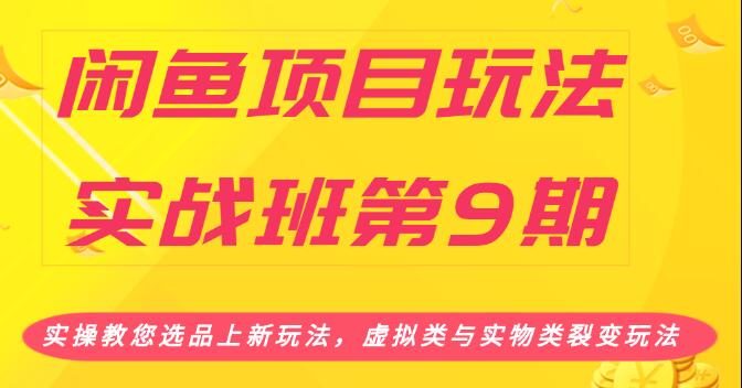 闲鱼项目玩法实战班第9期（一）实操教您选品上新玩法，虚拟类与实物类裂变玩法(无水印)