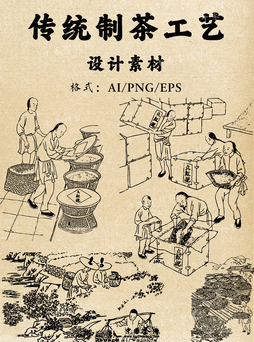【1363期】传统制茶工艺流程设计素材